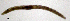  ( - RS2265)  @11 [ ] by-nc-sa (2024) R.M.Schmelz n/a