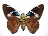  ( - 00-SRNP-10424)  @14 [ ] CreativeCommons - Attribution Non-Commercial Share-Alike (2003) Unspecified Guanacaste Dry Forest Conservation Fund
