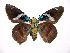  ( - 01-SRNP-6199)  @14 [ ] CreativeCommons - Attribution Non-Commercial Share-Alike (2003) Unspecified Guanacaste Dry Forest Conservation Fund