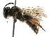  ( - 06712A02-RUS)  @13 [ ] CreativeCommons - Attribution (2016) CBG Photography Group Centre for Biodiversity Genomics
