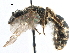  ( - 06712A05-RUS)  @13 [ ] CreativeCommons - Attribution (2016) CBG Photography Group Centre for Biodiversity Genomics