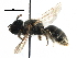  ( - 06712D04-RUS)  @12 [ ] CreativeCommons - Attribution (2016) CBG Photography Group Centre for Biodiversity Genomics