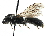  ( - 06712D09-RUS)  @11 [ ] CreativeCommons - Attribution (2016) CBG Photography Group Centre for Biodiversity Genomics