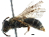  ( - 06712F04-RUS)  @13 [ ] CreativeCommons - Attribution (2016) CBG Photography Group Centre for Biodiversity Genomics