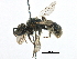  ( - 06712G12-RUS)  @12 [ ] CreativeCommons - Attribution (2016) CBG Photography Group Centre for Biodiversity Genomics