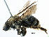  ( - 06712H11-RUS)  @13 [ ] CreativeCommons - Attribution (2016) CBG Photography Group Centre for Biodiversity Genomics