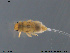  ( - NO-EPH105)  @11 [ ] CreativeCommons - Attribution Non-Commercial Share-Alike (2011) NTNU Museum of Natural History and Archaeology NTNU Museum of Natural History and Archaeology
