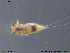  ( - NO-EPH106)  @11 [ ] CreativeCommons - Attribution Non-Commercial Share-Alike (2011) NTNU Museum of Natural History and Archaeology NTNU Museum of Natural History and Archaeology