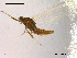  ( - NO-EPH25)  @11 [ ] CreativeCommons - Attribution Non-Commercial Share-Alike (2011) NTNU Museum of Natural History and Archaeology NTNU Museum of Natural History and Archaeology