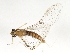  ( - 09NBMAY-0112)  @13 [ ] CreativeCommons - Attribution (2009) Unspecified Centre for Biodiversity Genomics