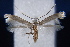  ( - AK546)  @12 [ ] CreativeCommons - Attribution Non-Commercial Share-Alike (2015) Atsushi Kawakita Kyoto University