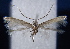  ( - AK548)  @12 [ ] CreativeCommons - Attribution Non-Commercial Share-Alike (2015) Atsushi Kawakita Kyoto University