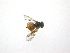  ( - EPMF101)  @13 [ ] Copyright (2012) Unspecified ECOSUR