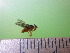  ( - EPMF104)  @12 [ ] Copyright (2012) Unspecified ECOSUR