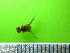  ( - EPMF105)  @12 [ ] Copyright (2012) Unspecified ECOSUR