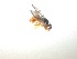  ( - EPMF109)  @12 [ ] Copyright (2012) Unspecified ECOSUR