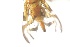  ( - EPMF118)  @12 [ ] Copyright (2012) Unspecified ECOSUR
