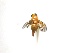  ( - EPMF119)  @12 [ ] Copyright (2012) Unspecified ECOSUR