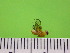  ( - EPMF121)  @12 [ ] Copyright (2012) Unspecified ECOSUR