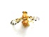  ( - EPMF153)  @12 [ ] Copyright (2012) Unspecified ECOSUR