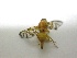  ( - EPMF154)  @12 [ ] Copyright (2012) Unspecified ECOSUR
