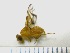  ( - EPMF155)  @12 [ ] Copyright (2012) Unspecified ECOSUR
