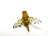  ( - EPMF158)  @12 [ ] Copyright (2012) Unspecified ECOSUR