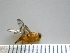 ( - EPMF162)  @12 [ ] Copyright (2012) Unspecified ECOSUR