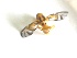  ( - EPMF166)  @12 [ ] Copyright (2012) Unspecified ECOSUR