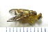  ( - EPMF167)  @12 [ ] Copyright (2012) Unspecified ECOSUR