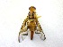  ( - EPMF170)  @13 [ ] Copyright (2012) Unspecified ECOSUR