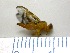  ( - EPMF172)  @12 [ ] Copyright (2012) Unspecified ECOSUR
