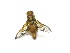  ( - EPMF172)  @12 [ ] Copyright (2012) Unspecified ECOSUR