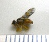  ( - EPMF179)  @12 [ ] Copyright (2012) Unspecified ECOSUR