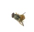  ( - EPMF179)  @12 [ ] Copyright (2012) Unspecified ECOSUR