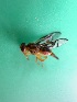  ( - Sample-EPMF12)  @12 [ ] Unspecified (default): All Rights Reserved  A. Oropeza Unspecified
