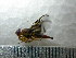  ( - Sample-EPMF42)  @12 [ ] Unspecified (default): All Rights Reserved  Unspecified Unspecified