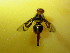  ( - Sample-EPMF42)  @12 [ ] Unspecified (default): All Rights Reserved  Unspecified Unspecified