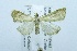  ( - USNM ENT 00192263)  @13 [ ] Unspecified (default): All Rights Reserved  Unspecified Unspecified
