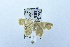  ( - USNM ENT 00202771)  @12 [ ] Unspecified (default): All Rights Reserved  Unspecified Unspecified