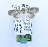  ( - USNM ENT 00269537)  @12 [ ] Unspecified (default): All Rights Reserved  Unspecified Unspecified