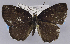 ( - USNM ENT 00450030a)  @13 [ ] Unspecified (default): All Rights Reserved  Unspecified Unspecified