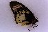  ( - USNM ENT 00719353)  @11 [ ] Unspecified (default): All Rights Reserved  Unspecified Unspecified
