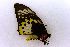  ( - USNM ENT 00719359)  @12 [ ] Unspecified (default): All Rights Reserved  Unspecified Unspecified