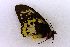  ( - USNM ENT 00719362)  @12 [ ] Unspecified (default): All Rights Reserved  Unspecified Unspecified