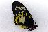 ( - USNM ENT 00719367)  @12 [ ] Unspecified (default): All Rights Reserved  Unspecified Unspecified
