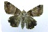  ( - USNM ENT 00719371)  @13 [ ] Unspecified (default): All Rights Reserved  Unspecified Unspecified