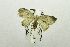  ( - USNM ENT 00731630)  @12 [ ] Unspecified (default): All Rights Reserved  Unspecified Unspecified