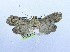  ( - USNM ENT 00731901)  @14 [ ] Unspecified (default): All Rights Reserved  Unspecified Unspecified