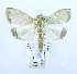  ( - USNM ENT 00731921)  @13 [ ] Unspecified (default): All Rights Reserved  Unspecified Unspecified